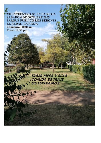 Bild/Foto