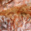 CarmenOurense CarmenOurense